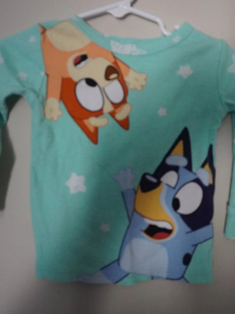 Kids' Mint Bluey & Bingo Character Pajama Top - Long Sleeve